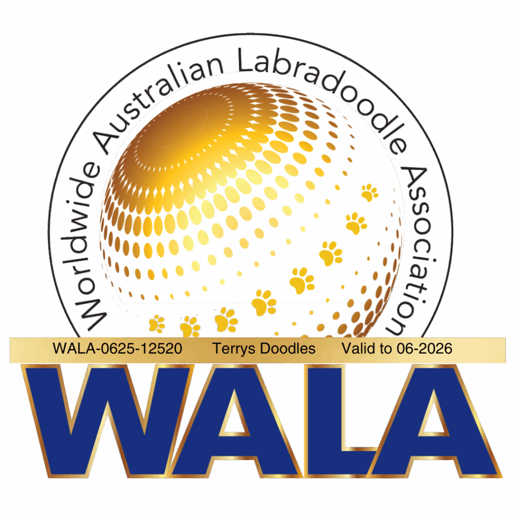 Terrys Doodles wala Badge