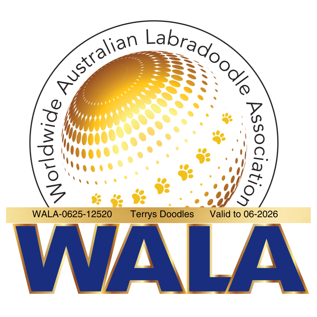 Terrys Doodles wala Badge